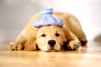 Imágenes de tristeza por enfermedad3