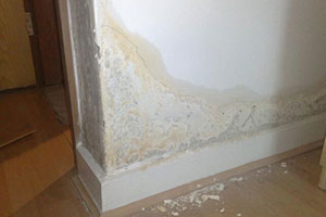 Qué es la humedad por capilaridad