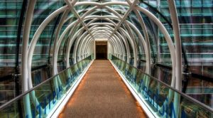 Sobre el derecho de libre acceso a la ciencia en la actualidad