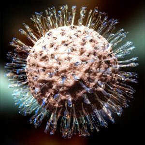 Sobre el proceso de curar el herpes genital masculino