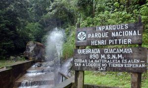 4 parques nacionales recomendados para visitar en Venezuela