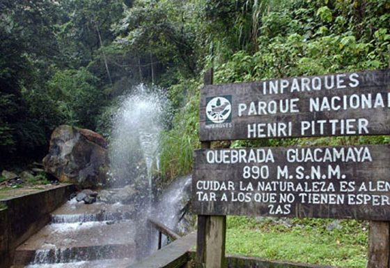 4 parques nacionales recomendados para visitar en Venezuela