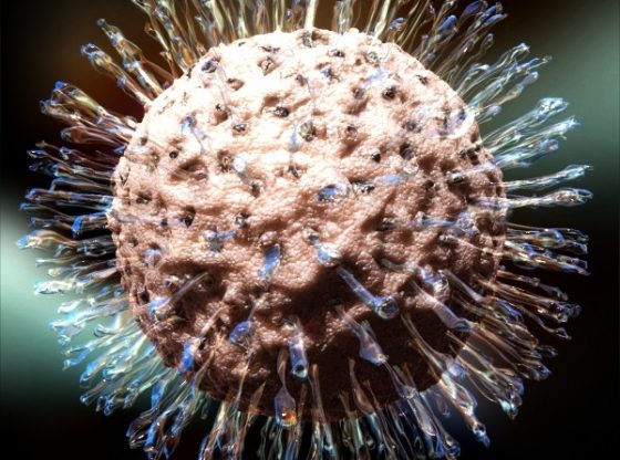 Sobre el proceso de curar el herpes genital masculino